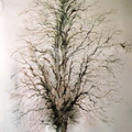 arbre sec 44x66 cm 