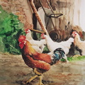 Gall i gallines a l'era-42x51 cm.