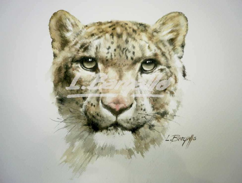 Leopardo-M.JPG