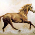 Cavall -20F 60x73 cm 