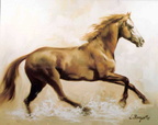 Cavall -20F 60x73 cm 