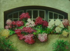 Finestra amb flors -40P- 73x100 cm 
