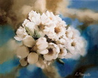 Flors d'amatller -6F 41x33 cm 