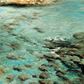 Mar transparent 92x73 cm 