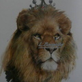 Rei lleò - 44x35 cm 